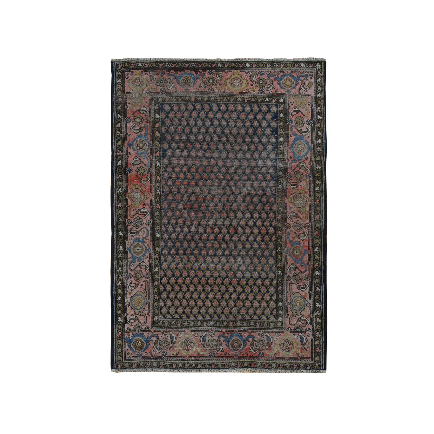 Best Place To Get Carpet & Rugs Online in Wilton - Kaouds